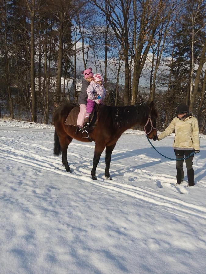 Frýdlant nad OstravicíU Ponocneho Pod Ondrejnikem别墅 外观 照片